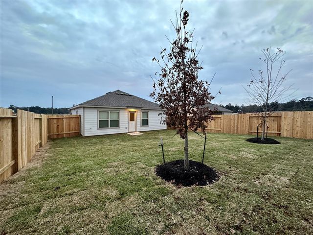 506 Dalloway Street, Montgomery, TX 77316