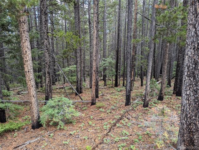 3022 Bolwell Lane, Fort Garland, CO 81133