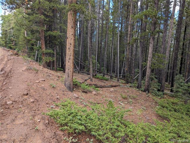 3022 Bolwell Lane, Fort Garland, CO 81133