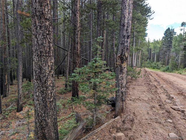 3022 Bolwell Lane, Fort Garland, CO 81133