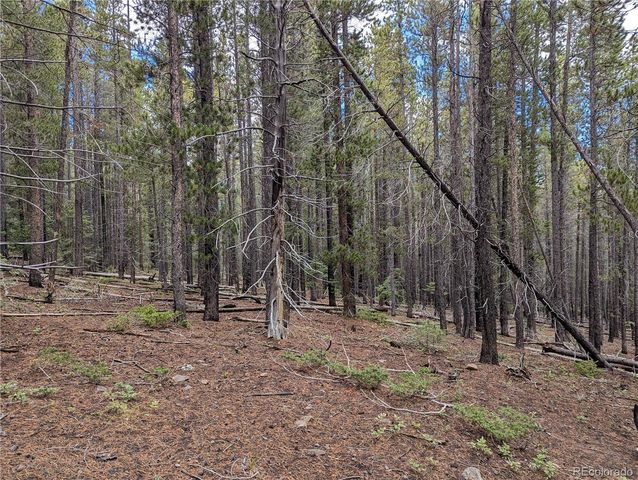 3022 Bolwell Lane, Fort Garland, CO 81133