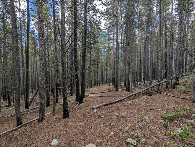 3022 Bolwell Lane, Fort Garland, CO 81133