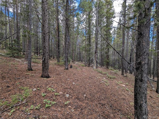 3022 Bolwell Lane, Fort Garland, CO 81133