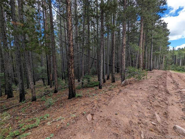 3022 Bolwell Lane, Fort Garland, CO 81133