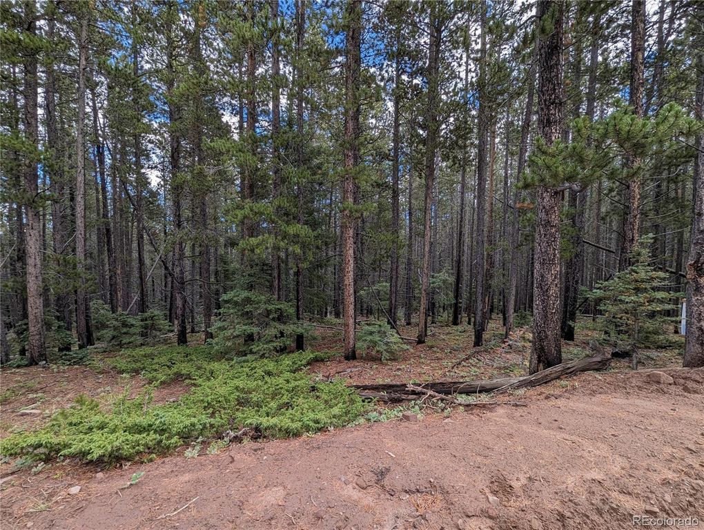 3022 Bolwell Lane, Fort Garland, CO 81133