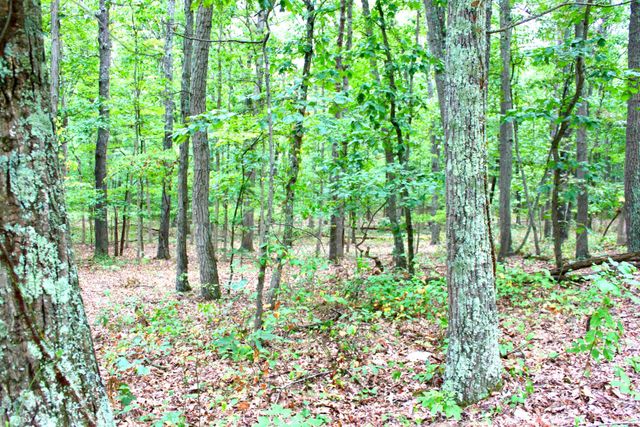 3101 Mount Tabor Road, Waverly, OH 45690
