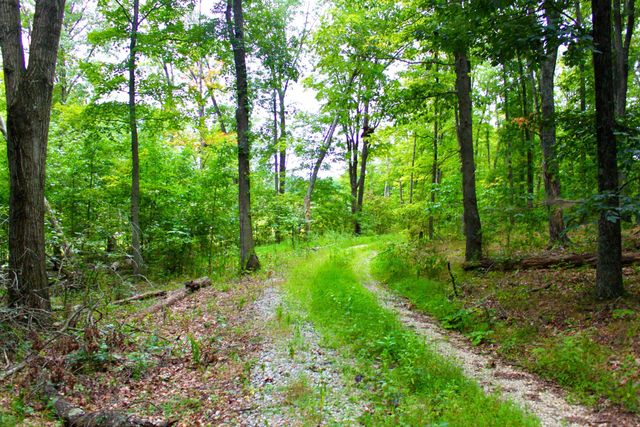 3101 Mount Tabor Road, Waverly, OH 45690