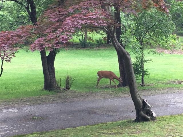 21 Bird Hill Road, Tomkins Cove, NY 10986