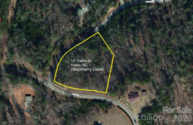 Lot 111 Trellis Drive, Nebo, NC 28761
