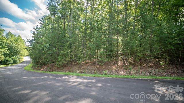Lot 111 Trellis Drive, Nebo, NC 28761