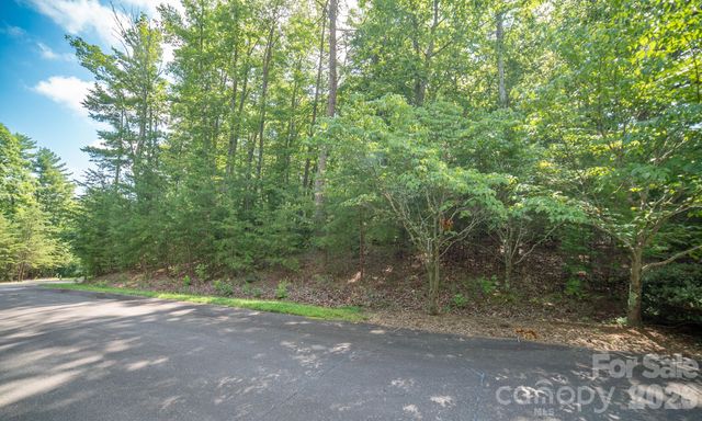 Lot 111 Trellis Drive, Nebo, NC 28761
