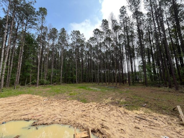 4320 Road 66128, Dayton, TX 77535