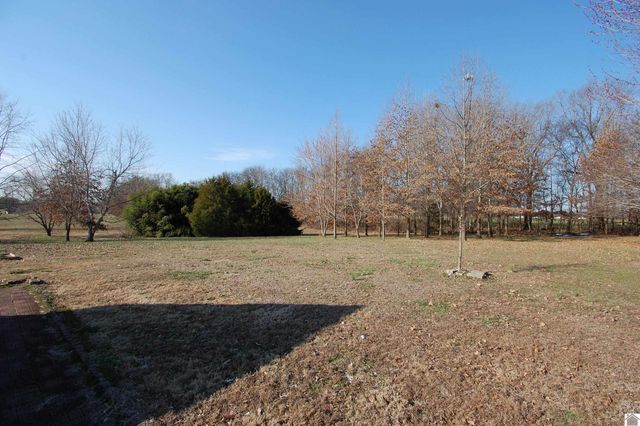 181 Symsonia Road, Symsonia, KY 42082