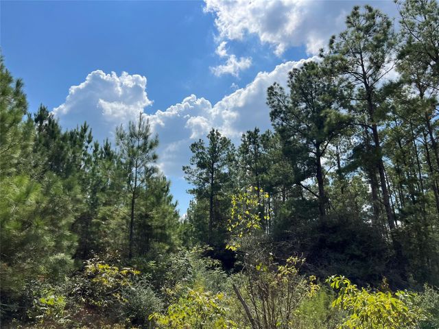 08 Fm 247, Huntsville, TX 77320