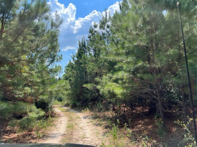 08 Fm 247, Huntsville, TX 77320