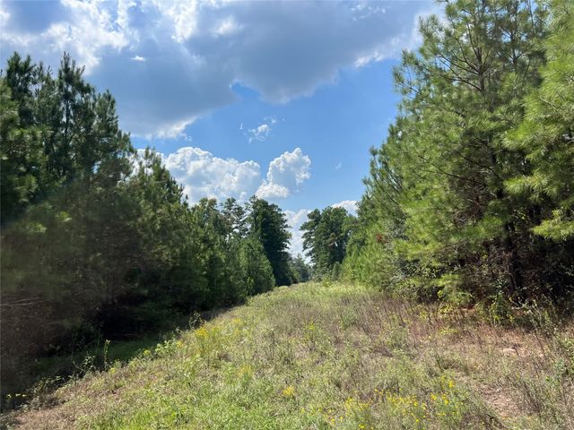 08 Fm 247, Huntsville, TX 77320