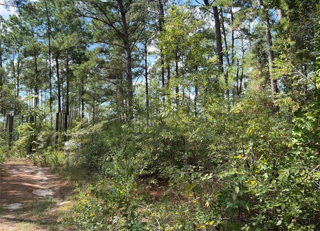 08 Fm 247, Huntsville, TX 77320