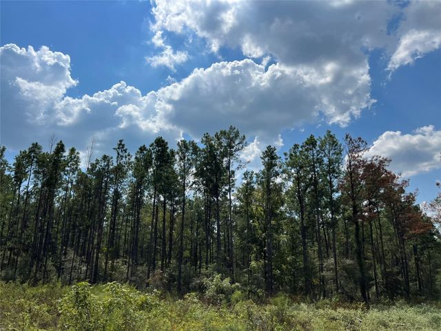 08 Fm 247, Huntsville, TX 77320