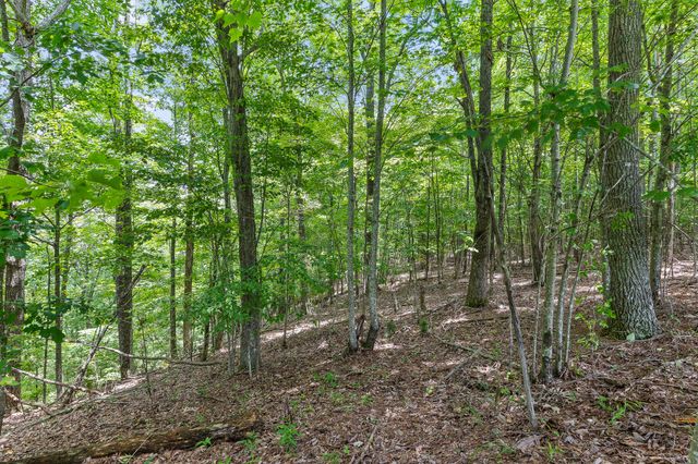 0 Preservation Drive 29, South Pittsburg, TN 37380