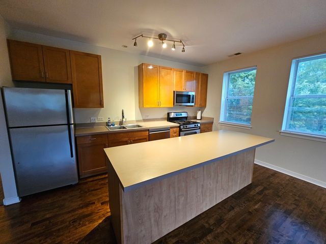 1244 S Blue Island Avenue 301, Chicago, IL 60608