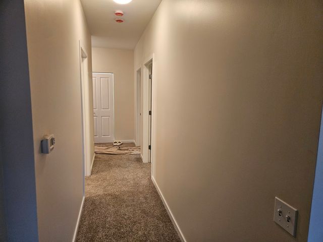 1244 S Blue Island Avenue 301, Chicago, IL 60608
