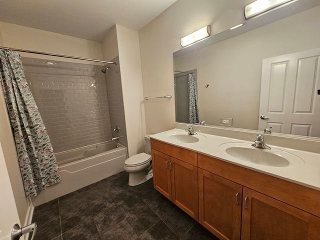 1244 S Blue Island Avenue 301, Chicago, IL 60608