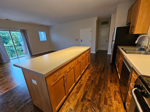 1244 S Blue Island Avenue 301, Chicago, IL 60608