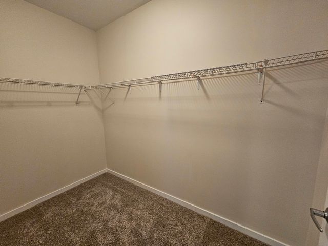 1244 S Blue Island Avenue 301, Chicago, IL 60608