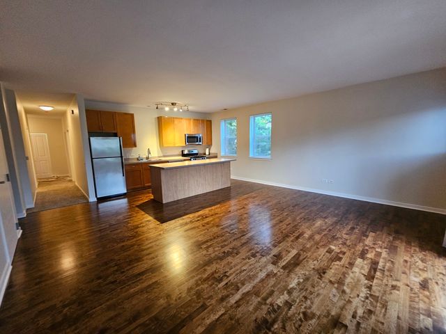 1244 S Blue Island Avenue 301, Chicago, IL 60608