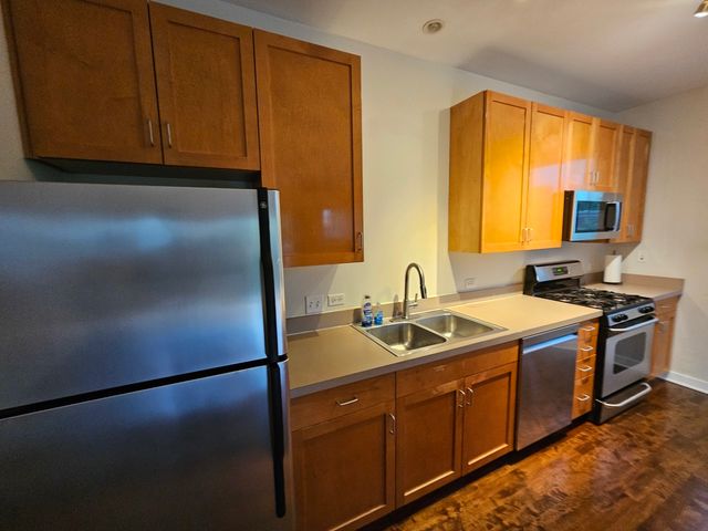 1244 S Blue Island Avenue 301, Chicago, IL 60608