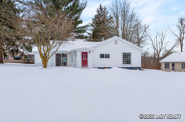 204 S Grove Street, Stanton, MI 48888