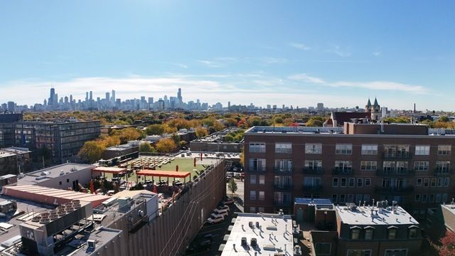 1351 W ALTGELD Street 1J, Chicago, IL 60614