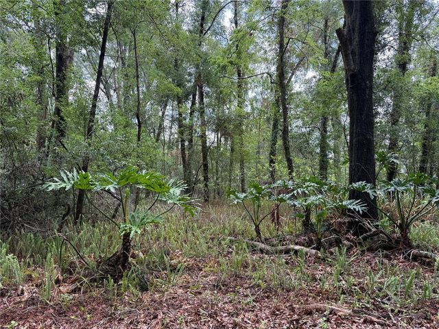 221 SW 138TH TERRACE, Newberry, FL 32669