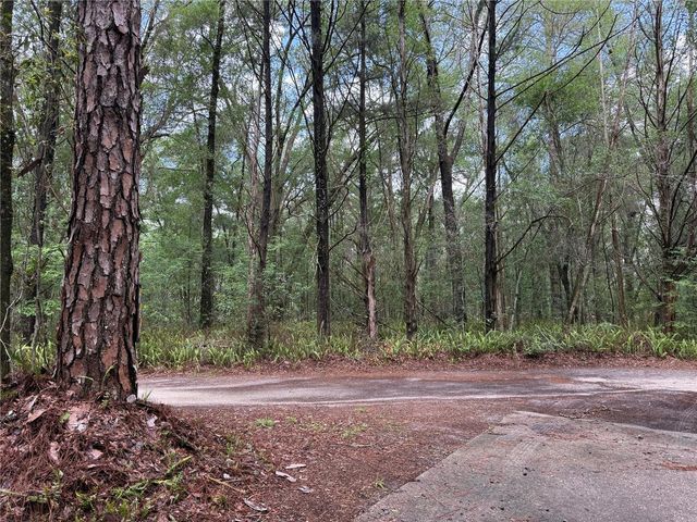 221 SW 138TH TERRACE, Newberry, FL 32669