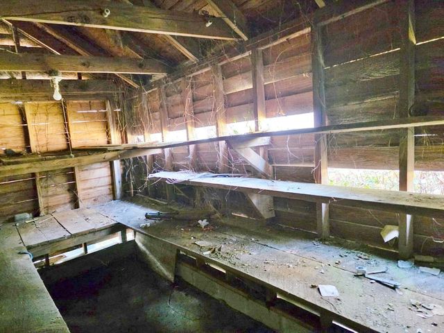 1107 Gilmore Avenue, Holly Hill, SC 29059