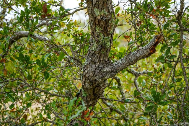 LOT 13 Wild Canyon Ranch Phase 1, Rocksprings, TX 78880