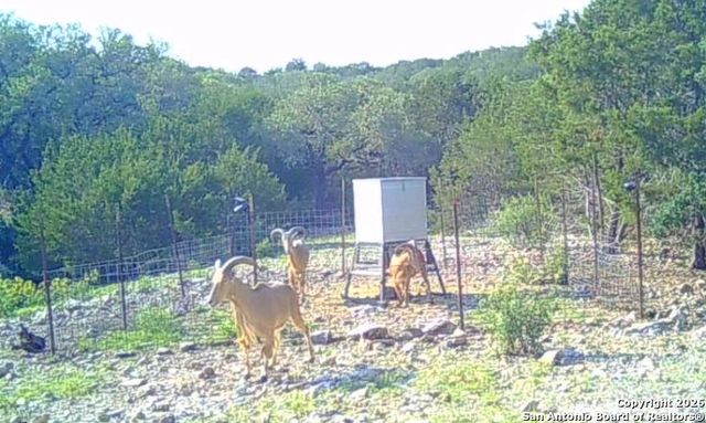 LOT 13 Wild Canyon Ranch Phase 1, Rocksprings, TX 78880