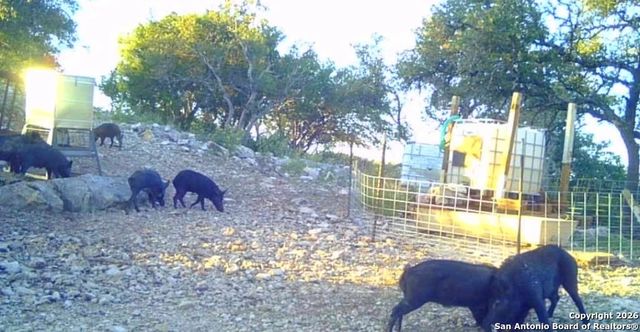 LOT 13 Wild Canyon Ranch Phase 1, Rocksprings, TX 78880