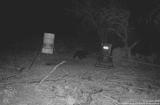 LOT 13 Wild Canyon Ranch Phase 1, Rocksprings, TX 78880