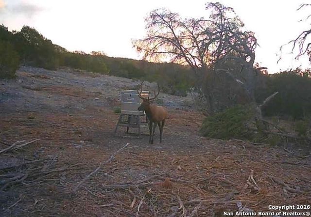 LOT 13 Wild Canyon Ranch Phase 1, Rocksprings, TX 78880