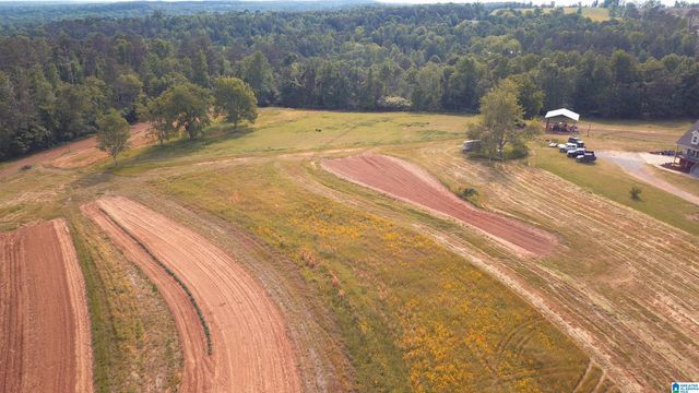 565 RB SHADRIX ROAD, Hayden, AL 35079