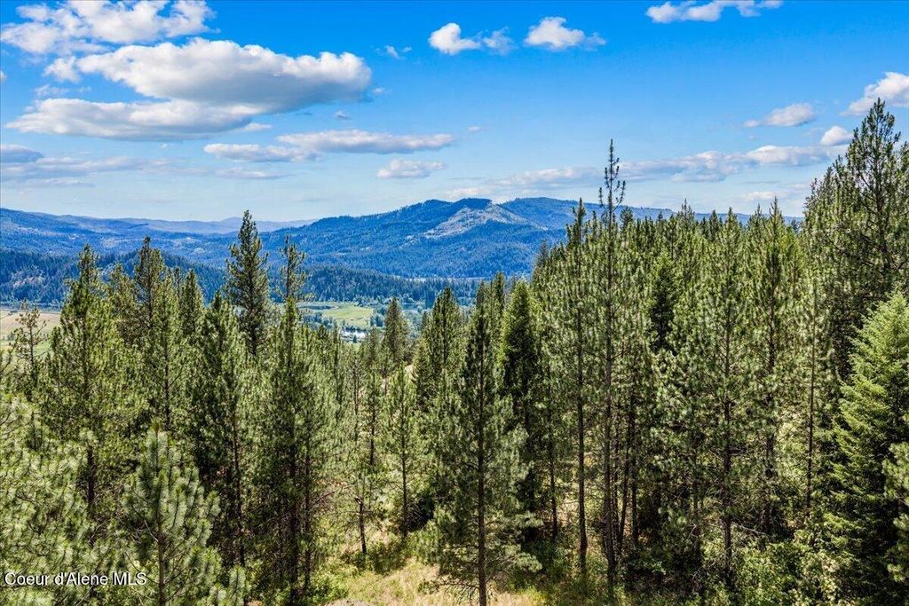 NKA E Maves Ln, St. Maries, ID 83861 photo 3