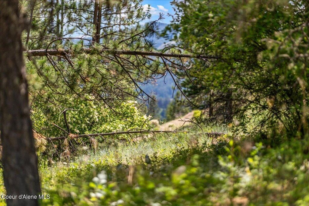 NKA E Maves Ln, St. Maries, ID 83861 photo 4