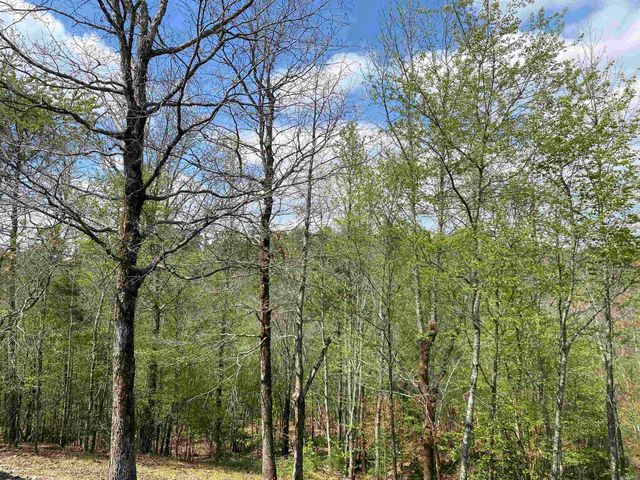 47 Hawkeye Lane, Mount Ida, AR 71957