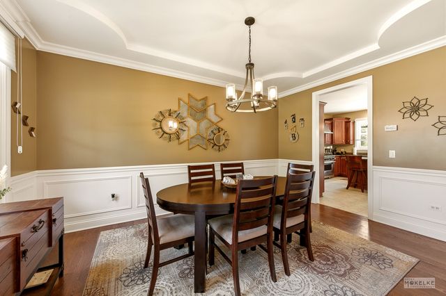 15528 Dan Patch Drive, Plainfield, IL 60544