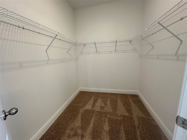 2344 JUNIPER BERRY DRIVE STREET, Minneola, FL 34715