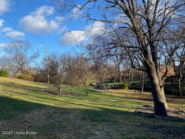 111 N Salem Dr, Bardstown, KY 40004