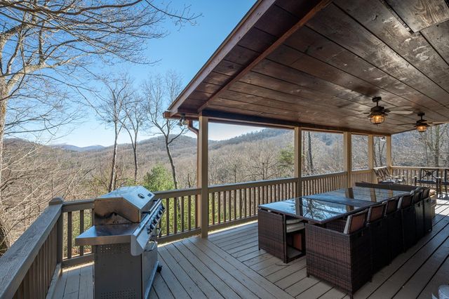 244 Tipton Court, Cherry Log, GA 30522