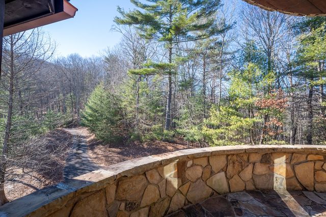 244 Tipton Court, Cherry Log, GA 30522