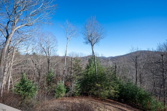 244 Tipton Court, Cherry Log, GA 30522